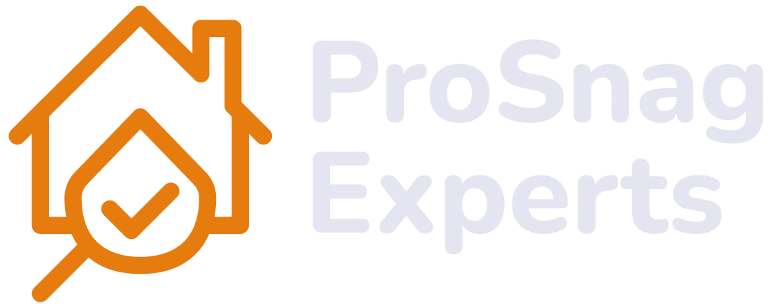 Pro Snag Experts